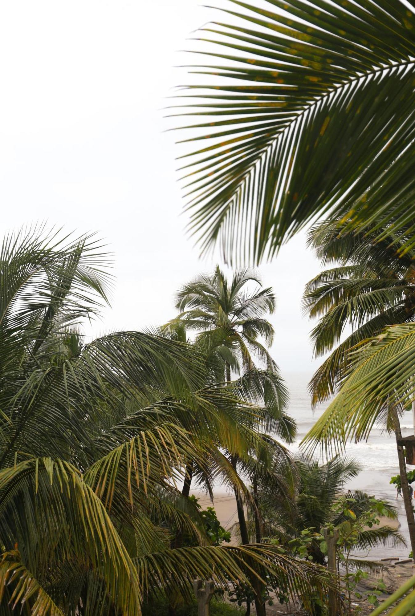 Kumbaya Beachside Hostel & Apartments At Arambol Beach Exterior foto